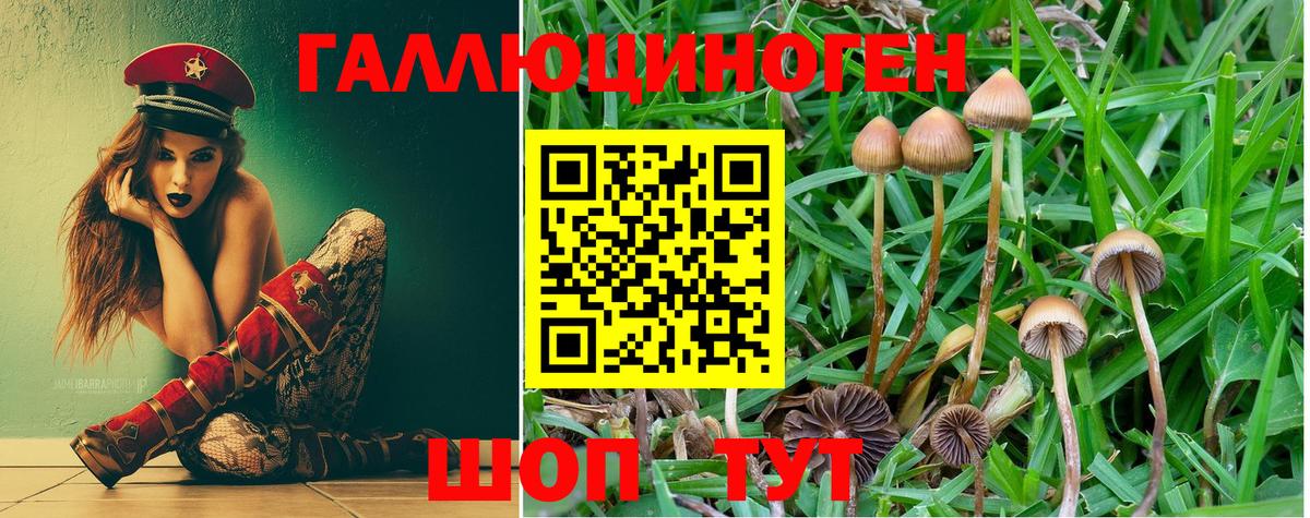 Псилоцибиновые грибы Cubensis Новоуральск
